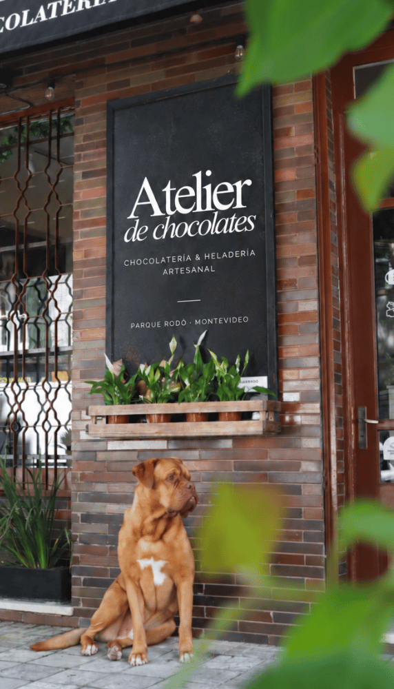 Nuestro local, en Parque Rodó